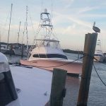 ACE Marine Diesel Fort Lauderdale, Stuart, Vero Beach, Jacksonville